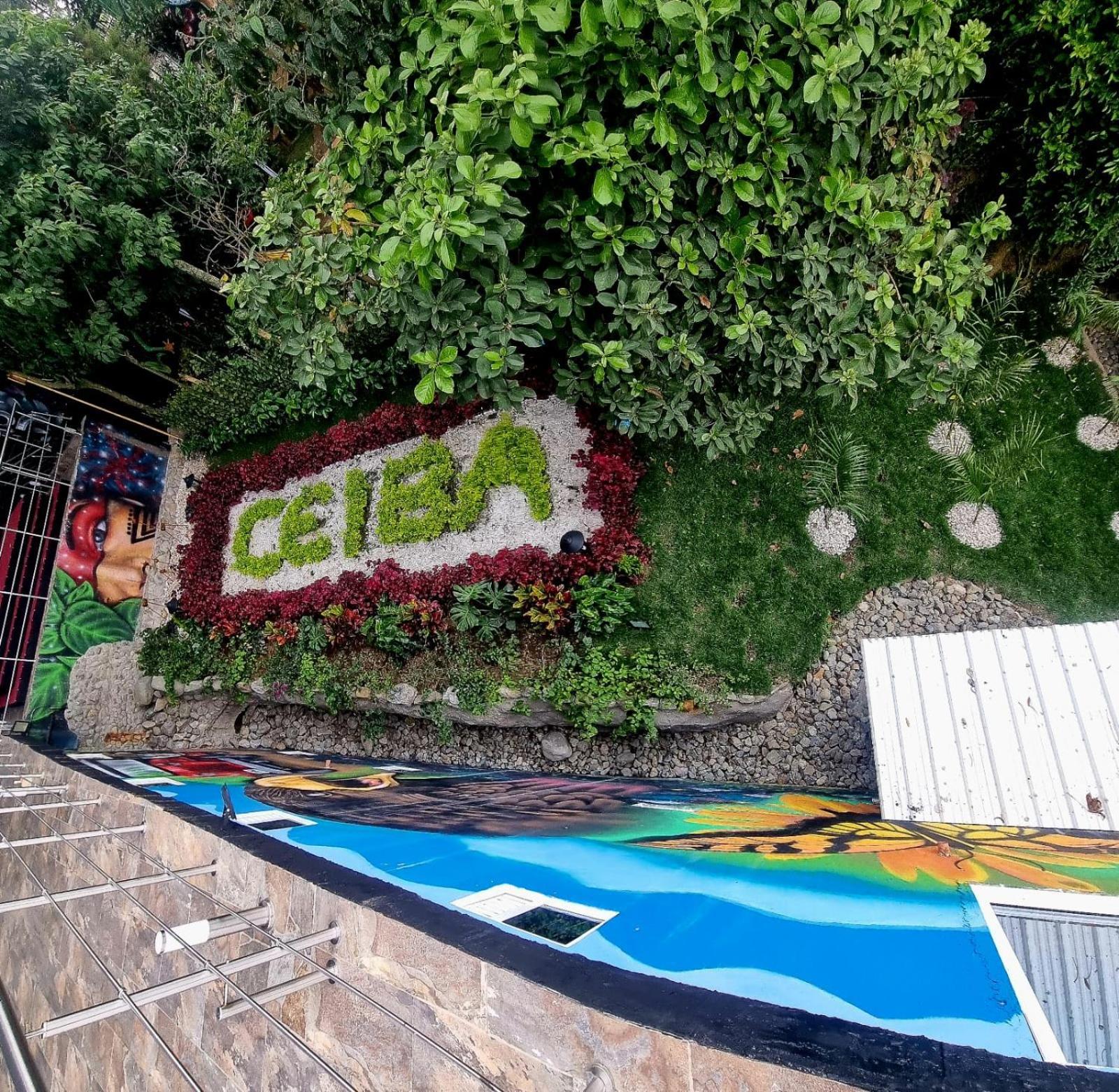 Ayenda Ceiba Rooms Pereira Dış mekan fotoğraf